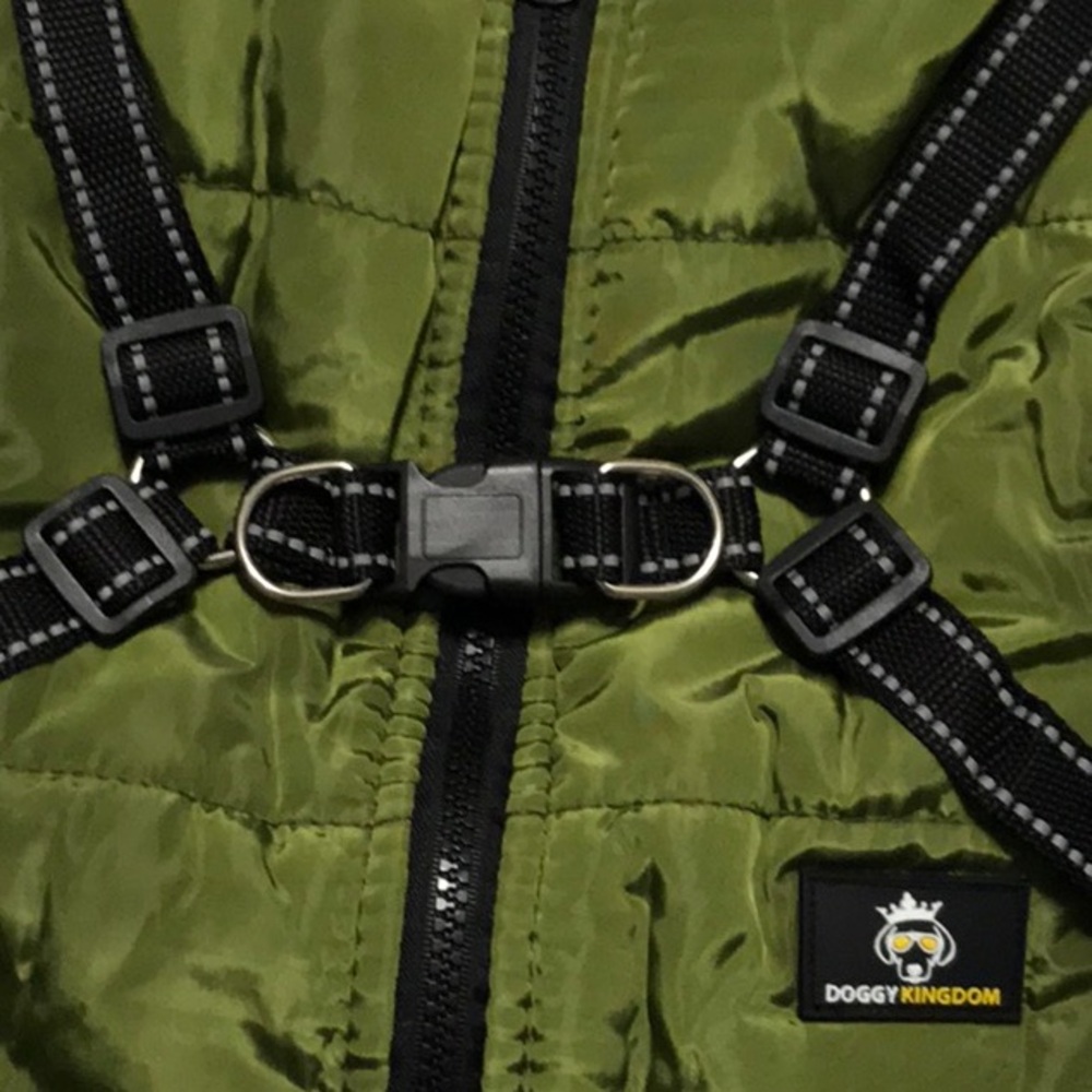 L Green - Doggie Kingdom Jacket